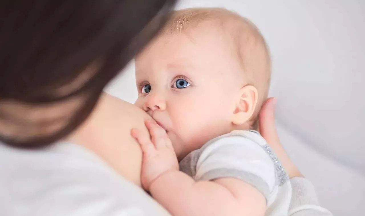 青青草免费观看视频-乳汁的分泌原理