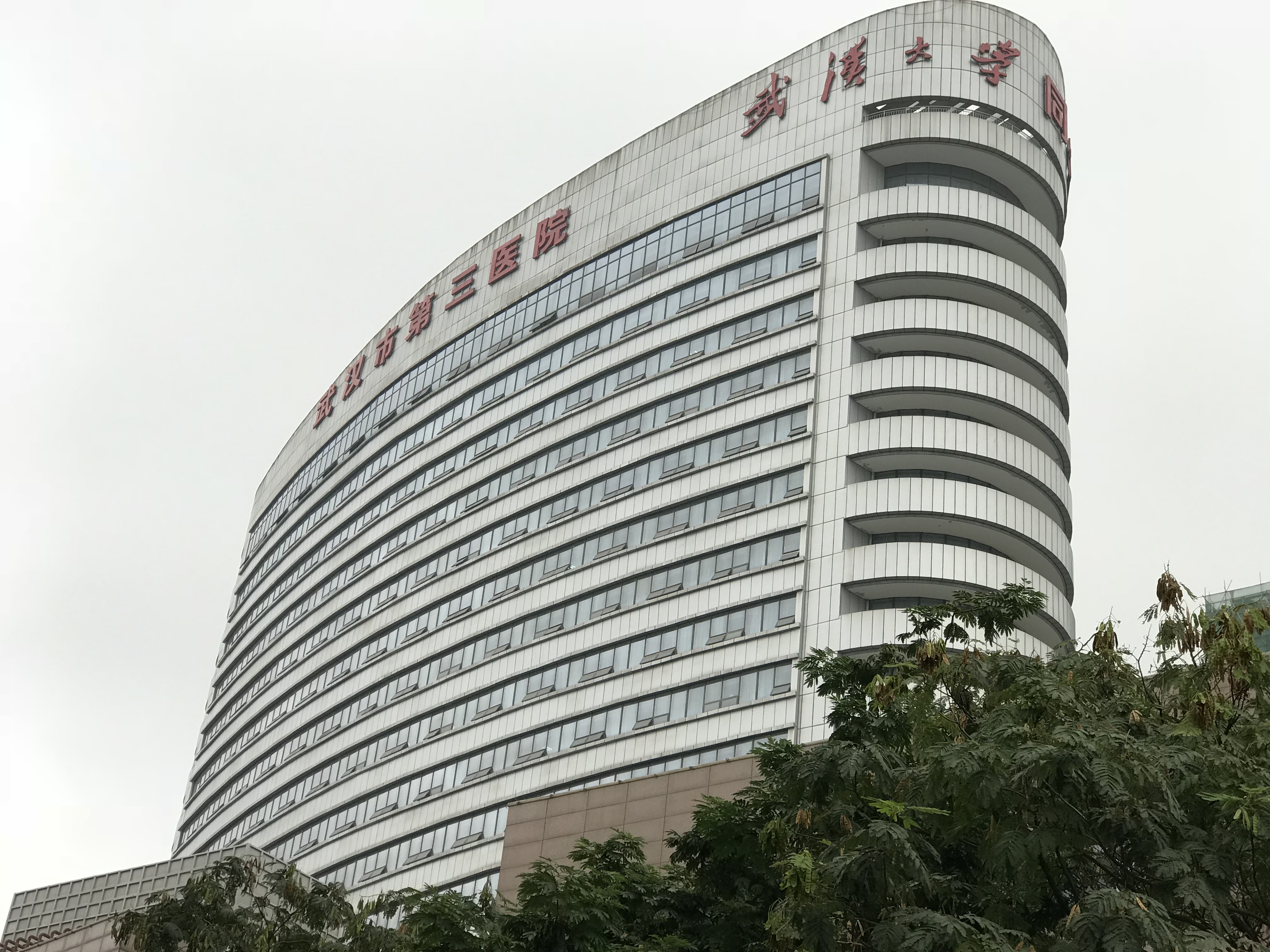 山東青青草视频污免费下载青青草成人在线合作單位武漢市第三醫院